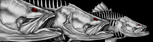 a picture of a boat wrap that features skeleton drawn images of a Barramundi