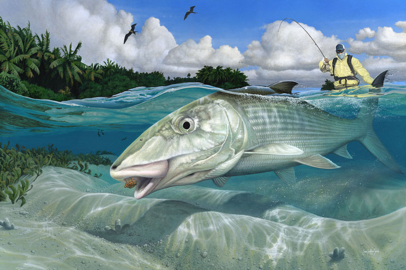 Load image into Gallery viewer, Bertram Smith - Hightailing, Bonefish Canvas Print, Measures 1200mm x 799mm plus outside white border
