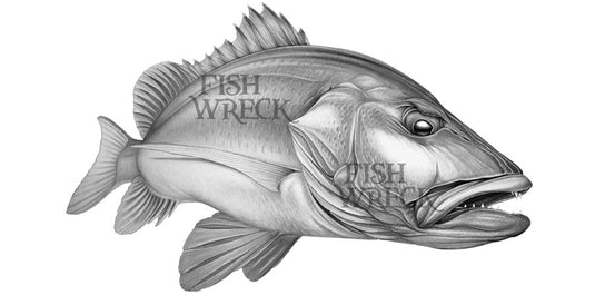 Mangrove Jack Boat Decal | Fishing Sticker | Salty Wraps