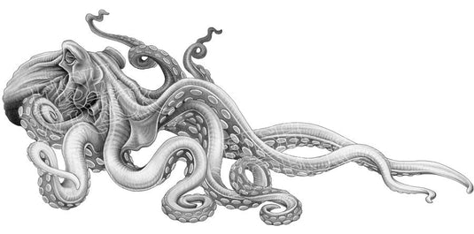 Octopus Kraken Boat Decal | Salty Wraps