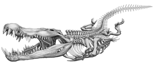 Crocodile Boat Decal | Salty Wraps