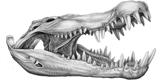 Crocodile Skull Boat Decal | Salty Wraps