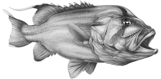 Dhufish Boat Decal | Fishing Sticker | Salty Wraps