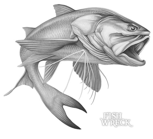 Grey Threadfin Salmon Boat Decal | Fishing Sticker | Salty Wraps