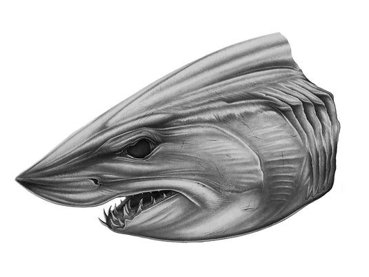 Mako Shark Head Boat Graphic | Salty Wraps
