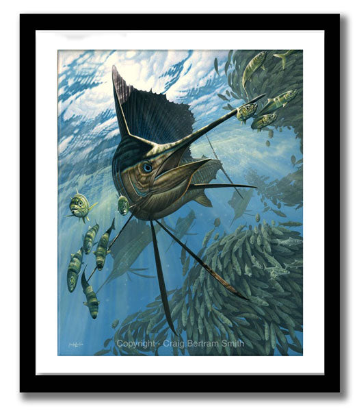 Craig Bertram Smith - Sails and Sardines, Sailfish Canvas Print, Measures 1200mm x 960mm plus outside white border