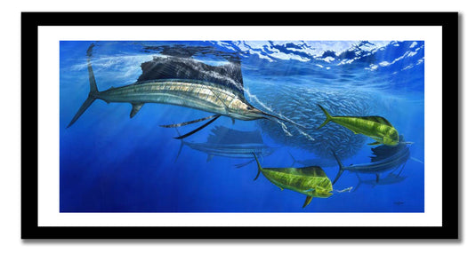 Bertram Smith - Turned On, Sailfish canvas print, Measures 1200mm x 799mm plus outside white border