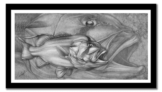 Dhufish Canvas Print, Measures 1200mm x 600mm plus outside white border