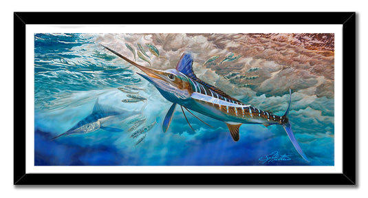 Jason Mathias - White Rabbit, Marlin canvas print, Measures 1200mm x 596mm plus white border