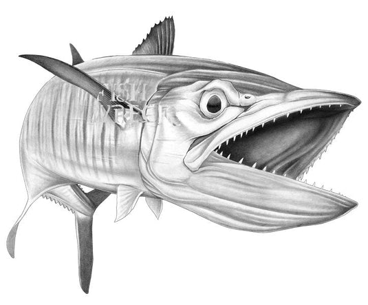 Spanish Mackerel Big Mouth Boat Decal | Fishing Sticker | Salty Wraps