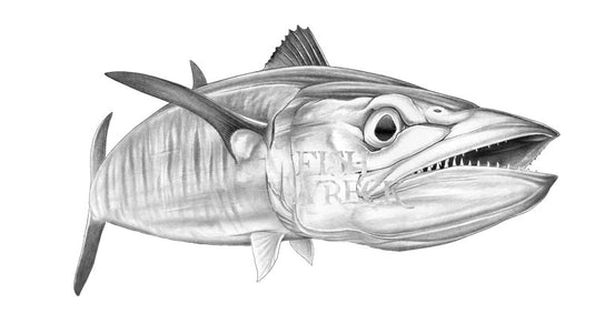 Spanish Mackerel Slim Boat Decal | Fishing Sticker | Salty Wraps